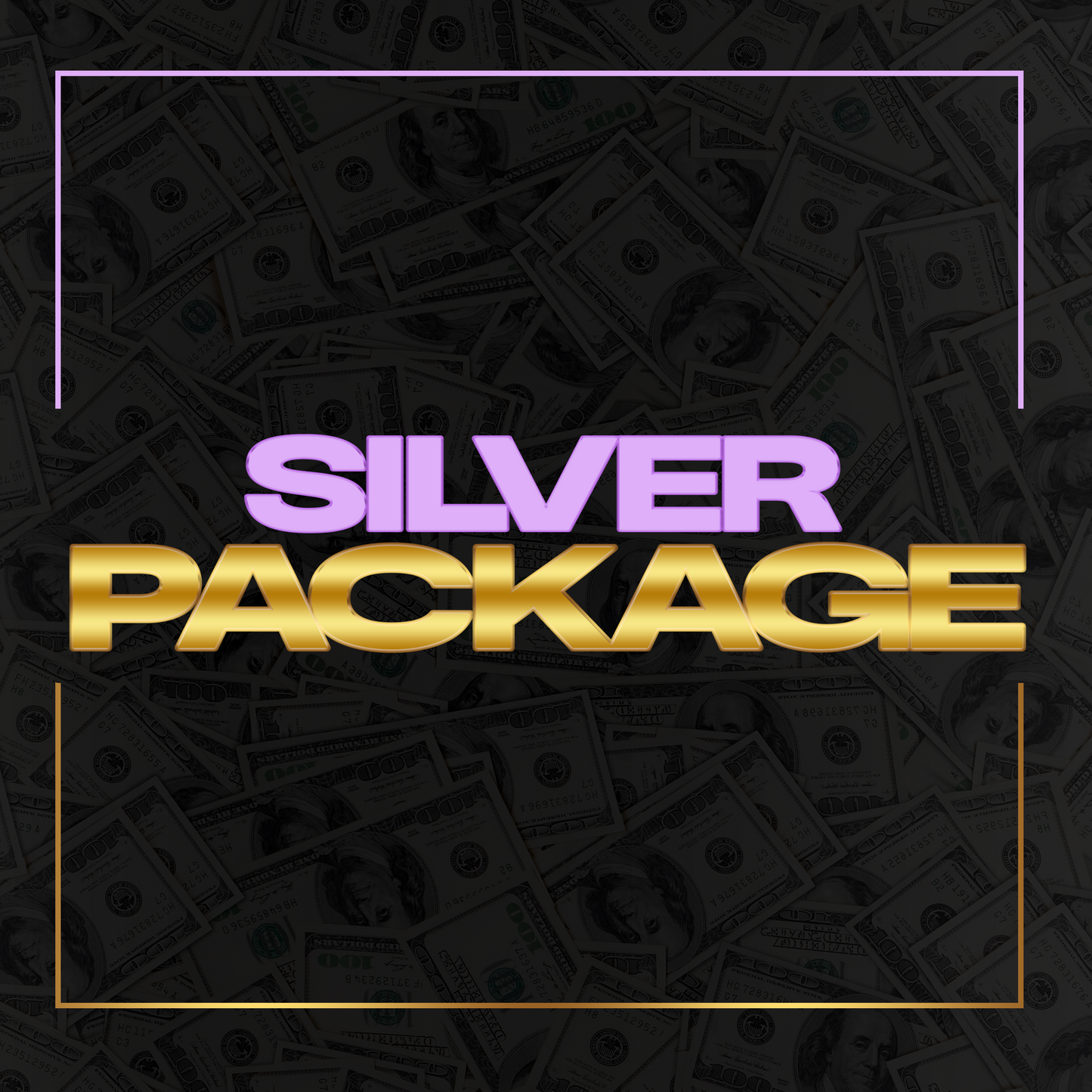 Silver Package(6 Months)
